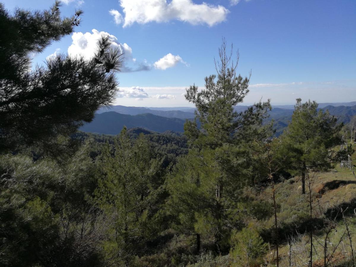 Heaven Of Prodromos Bed & Breakfast Dış mekan fotoğraf